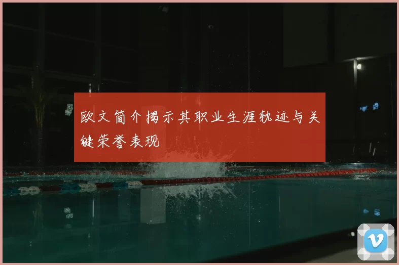 欧文简介揭示其职业生涯轨迹与关键荣誉表现