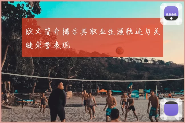 欧文简介揭示其职业生涯轨迹与关键荣誉表现