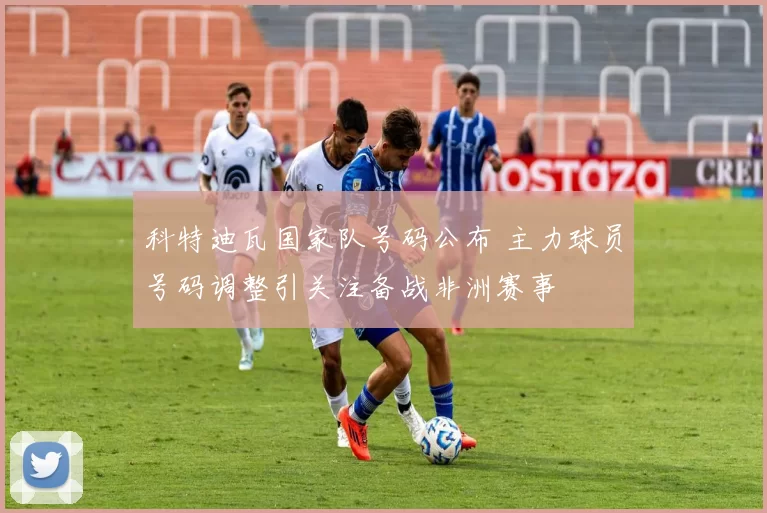 科特迪瓦国家队号码公布 主力球员号码调整引关注备战非洲赛事