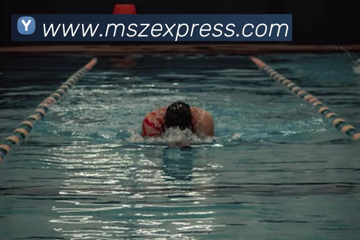 App Interface Preview